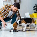 lajollawalkdogservices.com
